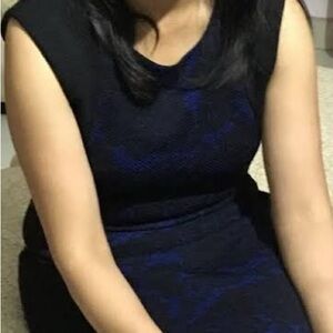 Dex Dress Women Size 4